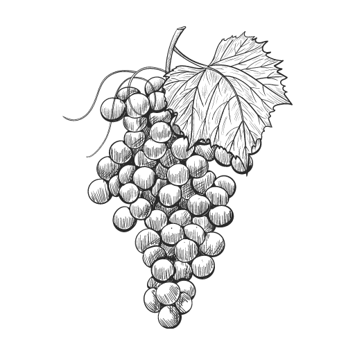 Grapes in a Vine
